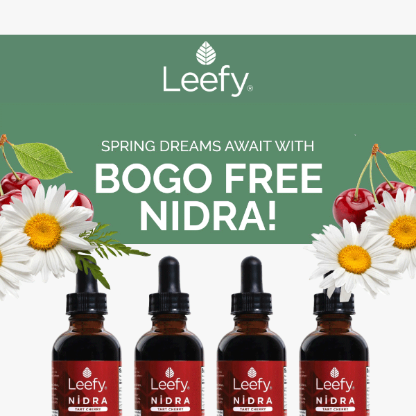 Bloom with Wellness - BOGO NiDRA Sale 🌸