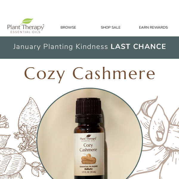 Plant Therapy: 💖 Cozy Cashmere Essential Oil Blend is BACK