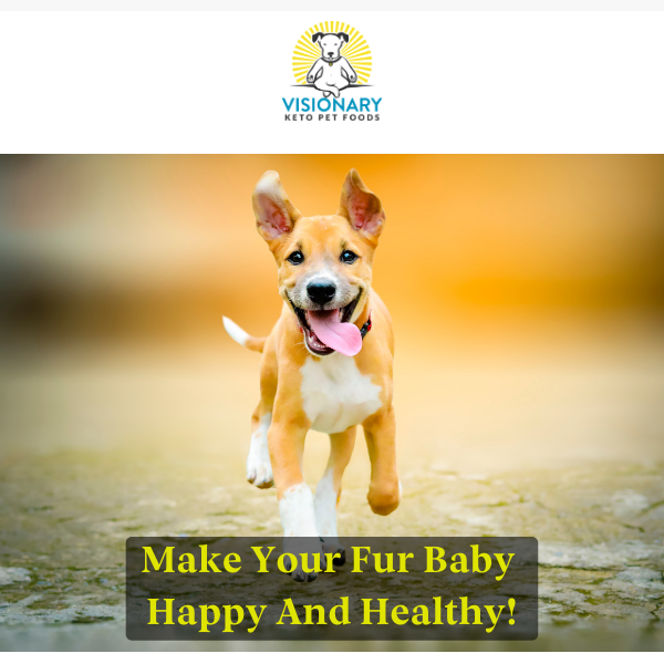 4 ways to keep your furry friends happy!