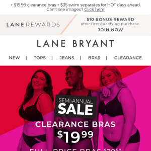 “BEST BRA EVER” (and it’s $29.50!)