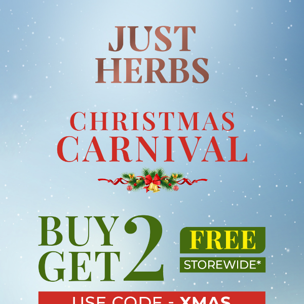 🎅Christmas Carnival - Buy 2 Get 2 Free - Make the most of it😍🌟