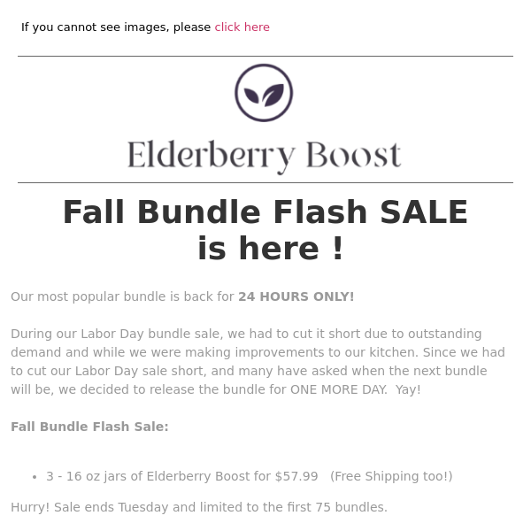 Elderberry Boost - Fall Bundle FLASH SALE 😍