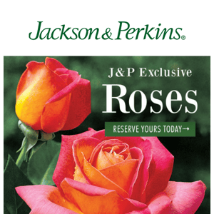 Reserve Your J&P Exclusive Roses Today!