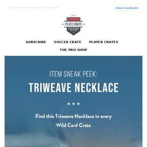 ITEM SNEAK PEEK: Tri-weave Necklace