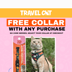 Get a Free Collar with Every Purchase at Travel Cat! 🐱