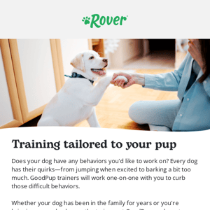 Try dog training customized for your dog