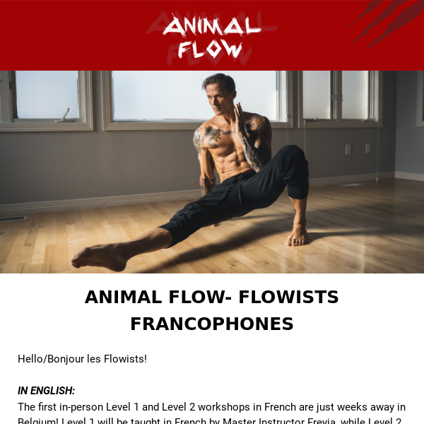 LAST CHANCE: In Person French Animal Flow Workshops