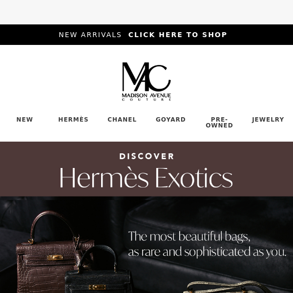 Discover Hermès Exotics 🐊 Bags as Rare as You - Madison Avenue