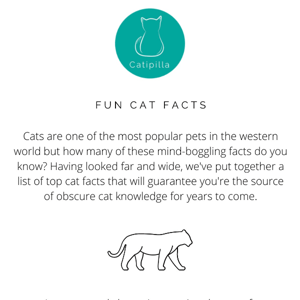 Fun Cat Facts | Catipilla