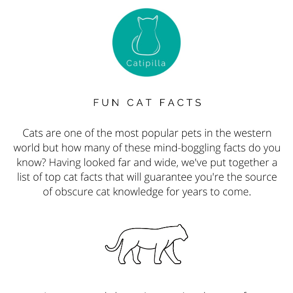 Fun Cat Facts | Catipilla