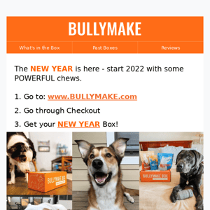 New Year, NEW TOYS - from BULLYMAKE 🔥
