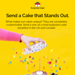 How To: Customize your Cake! 🎁🎂