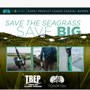 Save the seagrass & save BIG 🌍