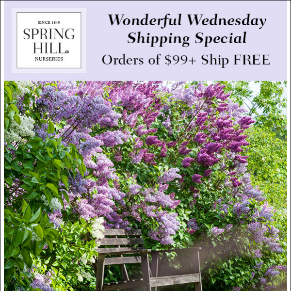 Wonderful Wednesday Shipping Special