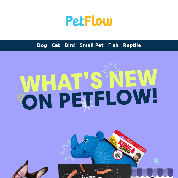 🐾 Woof, Meow & Wow! New Treats, Toys, and Foods for Your Four-Legged Family!