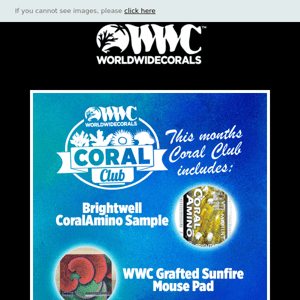 The Dream Coral Subscription