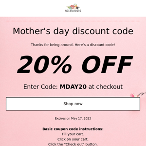 20% OFF 💐 Happy Mother's Day from Wildflowers!