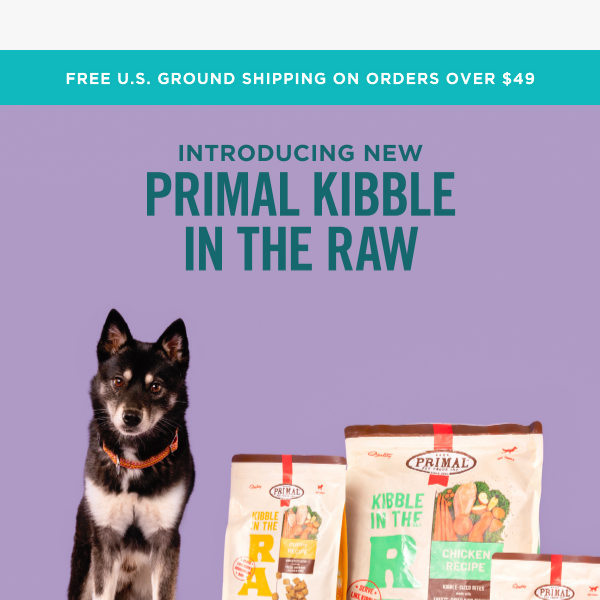New Primal Kibble in the Raw + 20% Off? Say Less.