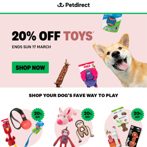 Bust That Boredom With 20% OFF Toys 🐾