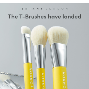 The wait is over: introducing the T-Brushes ⭐