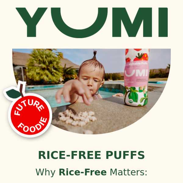 Rice-Free Puffs for Future Foodies