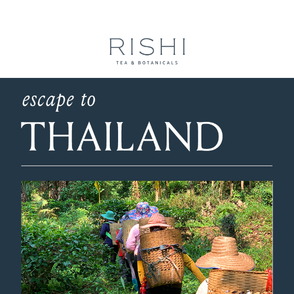 Escape to Thailand with Every Sip