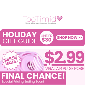 🎁 Holiday Gift Guide + Last Chance BF Deals!