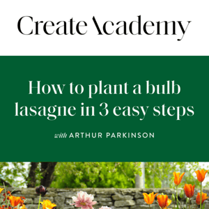 Free guide: How to plant a bulb lasagne