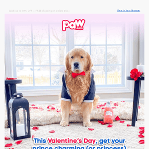 For Our Furry Valentines 💕🐕