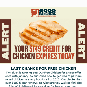 Free Chicken For A Year Ends Today 👋