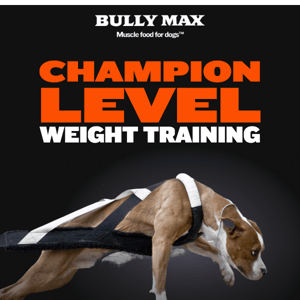 😱3X national champion bully reveals muscle building secrets