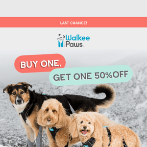 Is your pup winter-ready?