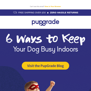 6 Ways to Keep Dogs Entertained Indoors!