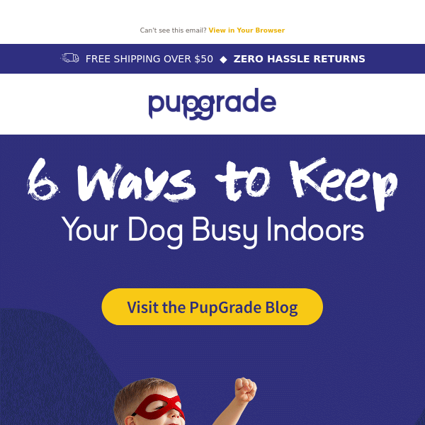 6 Ways to Keep Dogs Entertained Indoors!