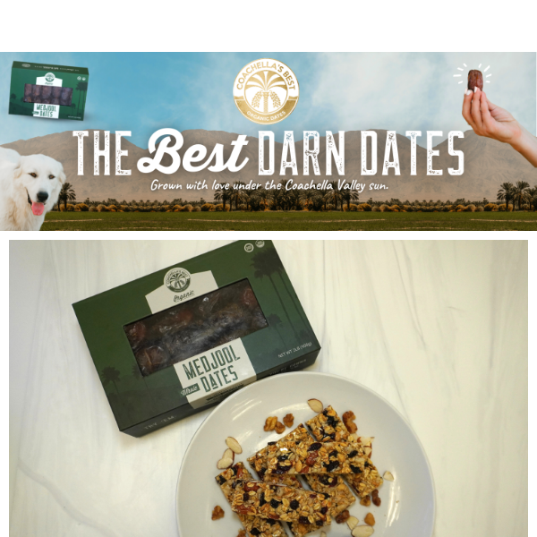 Homemade Date Granola Bars Recipe