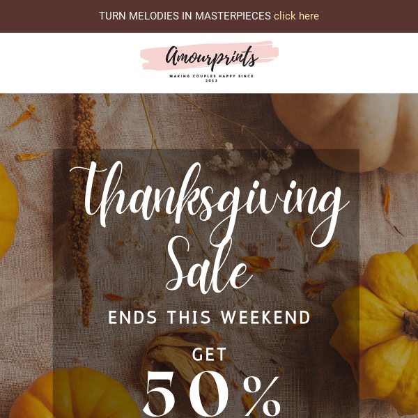 Don't Wait - Thanksgiving Sale Ending Soon