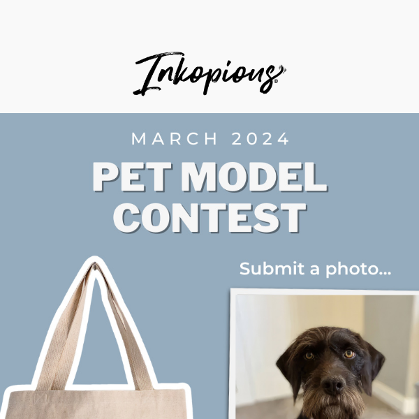 WINNERS ANNOUCEMENT 💐 & Our Next Pet Model Contest starts now! 📷✨