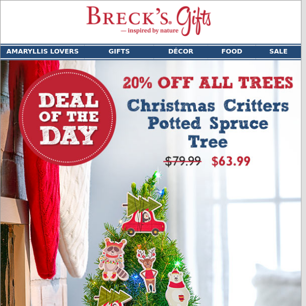 Today Only: Save 20% on Holiday Trees!