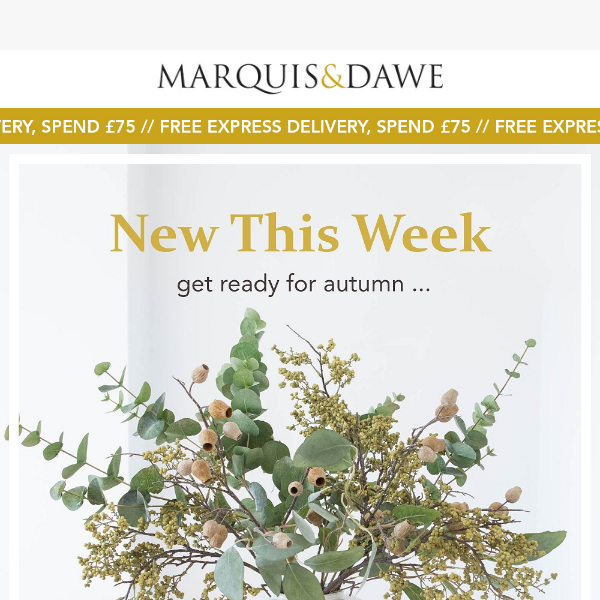 Just Arrived - New Autumn Homeware