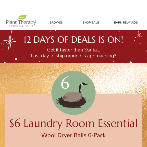 TODAY ONLY 👉 $6 Wool Dryer Balls