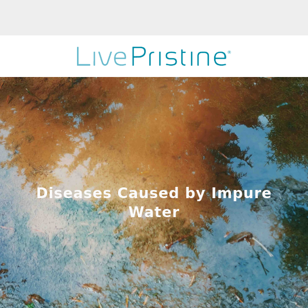 Diseases From Impure Water