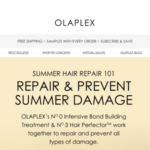 Repair & Prevent Summer Damage
