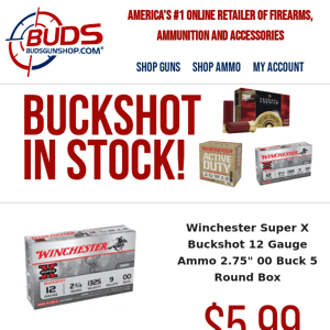 Buckshot: The Ultimate Self Defense Ammo