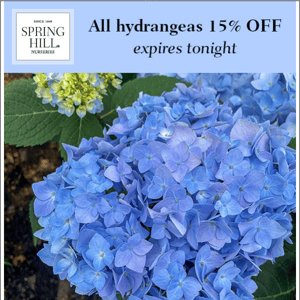 It's the last day to save 15% on hydrangeas