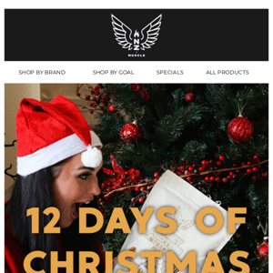 🎄 DAY 12: 15% OFF STOREWIDE!