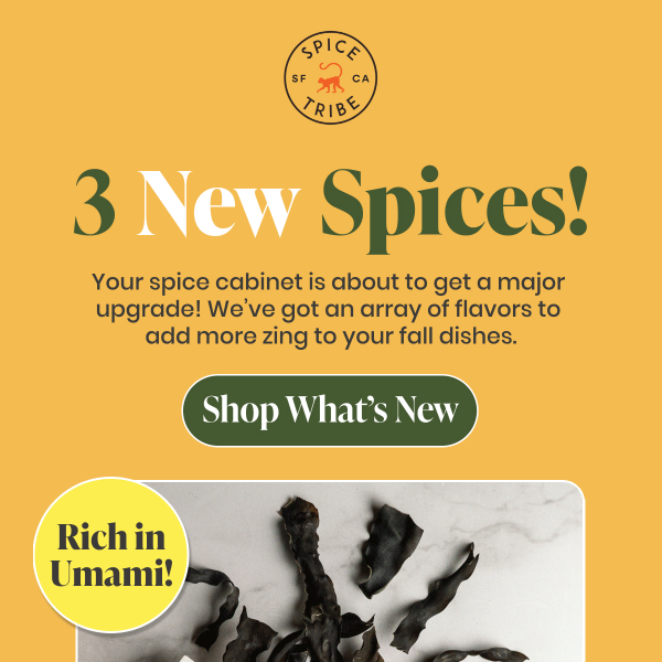 Get a Taste of Our NEW Spices!