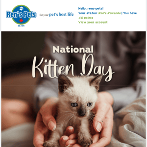 Happy National Kitten Day!