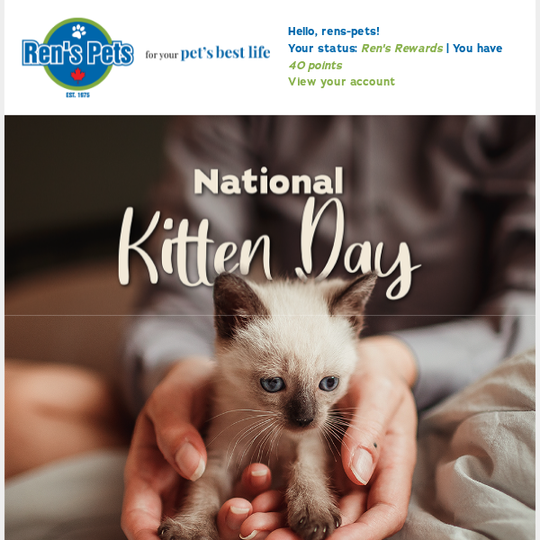 Happy National Kitten Day! Rens Pets