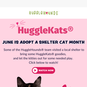 Adopt A Shelter Cat Month!