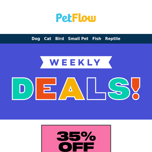 Don't Miss Out on This Week's Meow-nificent Deals! 😻🛒